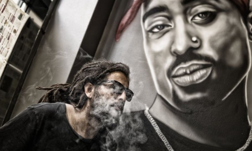 Diddy Just Purchased One of The Largest US Cannabis Companies