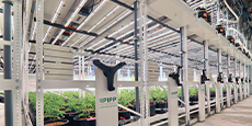 PIPP Grow 5x