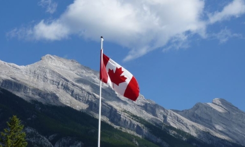 High Tide Becomes Top Revenue-Generating Cannabis Company in Canada