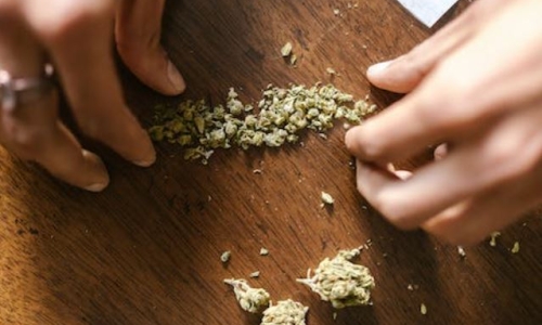 99% of patients using medicinal cannabis are sourcing it illegally due to failures within the industry, a new report says