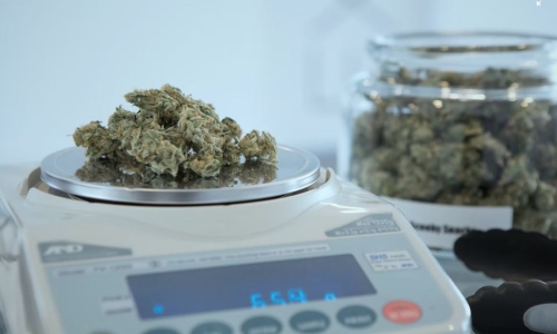 Cannabis Concerns Grow With Recreational Sales Set To Start Next Month