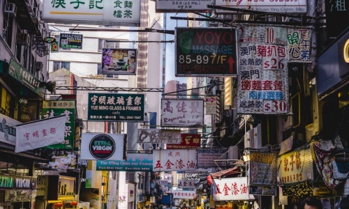 Hong Kong police investigating indoor marijuana farm syndicate after 2 arrests made and 991 cannabis plants seized in New Territories raid