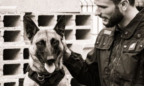 Clay County drug-sniffing K9 retired after marijuana legalization