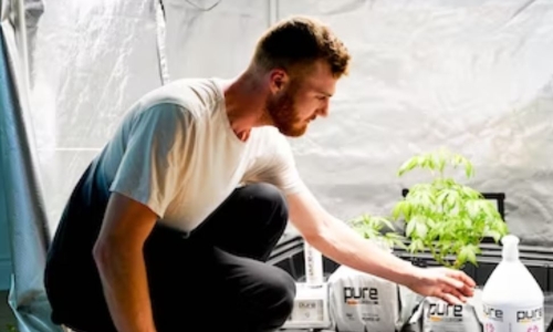 Hemp Farmers and Marijuana Advocates Face a Burning Question: What Exactly Is Legal in Texas?