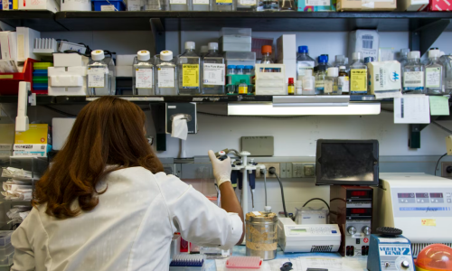 Marijuana Research Continued To Ramp Up In 2022