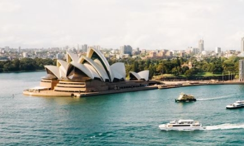 Medicinal cannabis expert says decriminalising drugs in Australia will completely change the industry