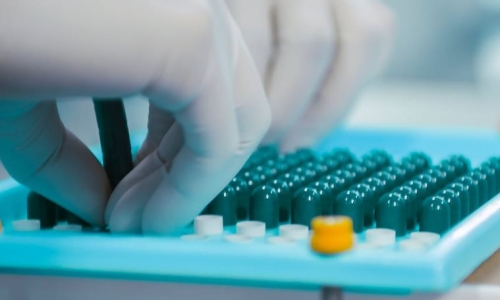 Minnesota Pharmacy Board sues three cannabis businesses for violating edible cannabinoid laws