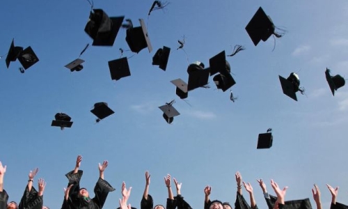 More Community Colleges Offering Cannabis Education Programs in Illinois Cannabis News