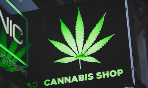 NJ legal weed is flying off the shelves. Here's what that means for the future.