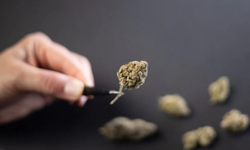 Pot is legal in Missouri but adults will still need medical marijuana cards till 2023