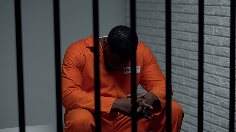 Cannabis Prisoner