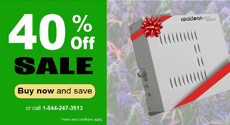 Surna  20 December 40% sale
