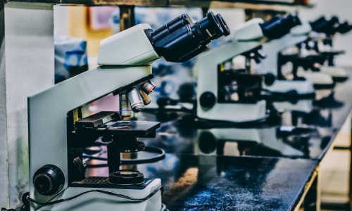 The New Marijuana Research Bill Is Another Sign That Federal Prohibition Is Ending