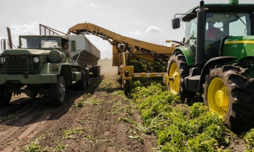 The US Department of Agriculture Will Collect Hemp Data in Their Census of Agriculture