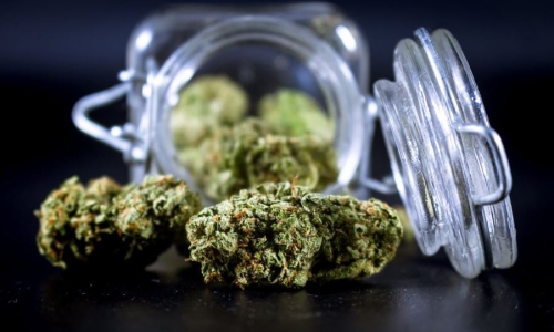 This State Will Revisit Medical Cannabis Legalization Next Year