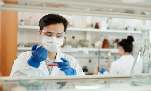 Too High? THC Test Results Under Fire