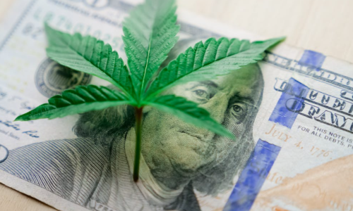 Trulieve Cannabis will pay $14K in settlement agreement