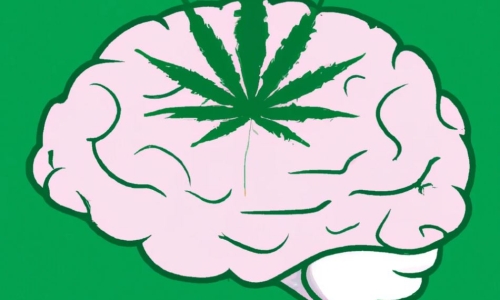 5 Things To Know About The Endocannabinoid System