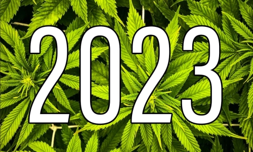 5 Things To Make Us Optimistic About Weed In Early 2023