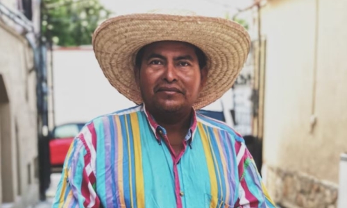 Could legalisation of cannabis revolutionize Mexico’s economy?