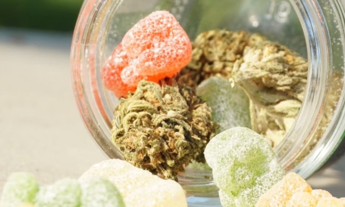 Delta-9 Gummies: how they compare to smoked Marijuana