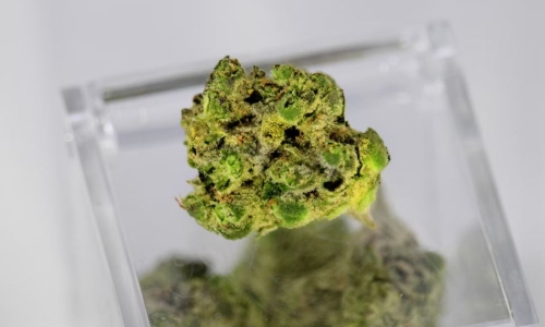 Georgia commission might vote this week on Medical Cannabis rules