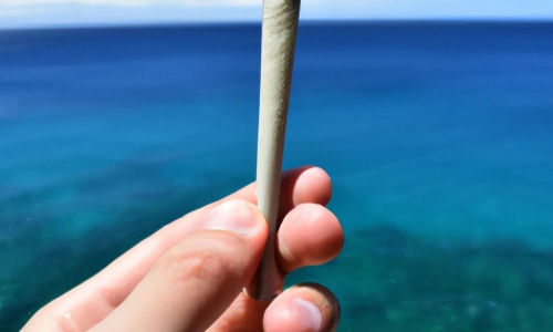 Hawaii Representative Announces Plan To Legalize Pot in 2023