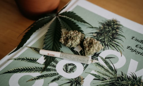 Legalizing Marijuana in the Carolinas is a issue of fairness, not morality 