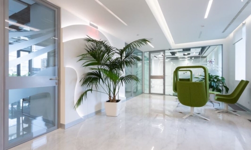 Medicinal cannabis in Spain: inside the country’s first ‘cannabis clinic’