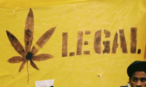 Minnesota lawmakers start down path to legalizing marijuana