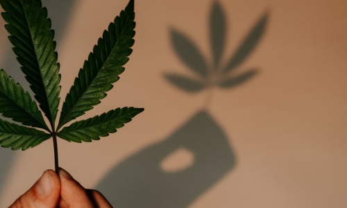 New Hampshire Governor dismisses Legalization Bill’s chances