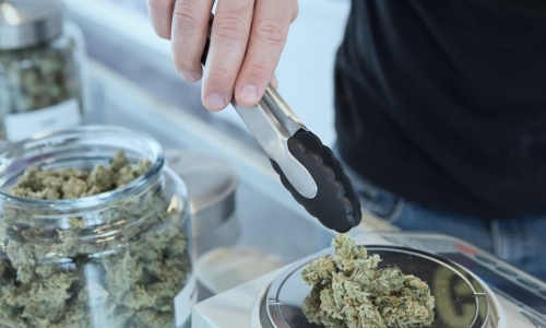 Northampton sets limit on cannabis shops, a first for this dispensary hub