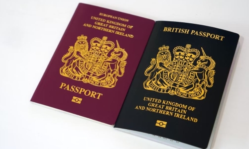 Prince Harry 'should have been denied U.S. visa' following use of cocaine, weed, shrooms in the past