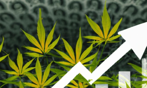 Recreational Marijuana sales in Connecticut top $2 million in first week