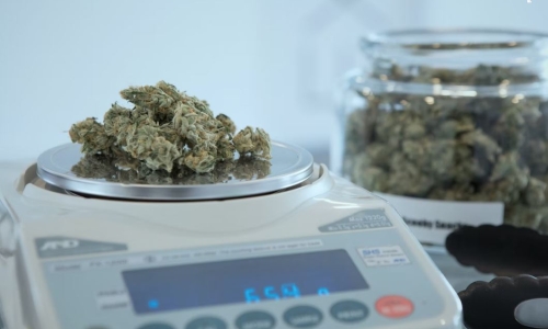 Second legal dispensary set to open in New York