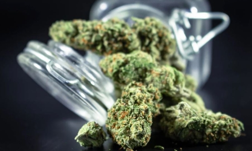 Who's winning and who's losing in recreational cannabis