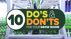 Pipp Horticulture: 10 Do’s & Don’ts for Your Grow Room