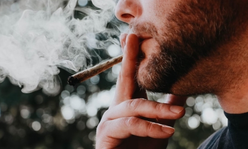 'Best job in the world’ offers £88,000 a year for a ‘cannabis sommelier’ to smoke weed all day – but there’s a catch
