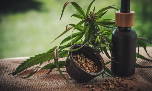 CBD: here’s what science says about its real health benefits