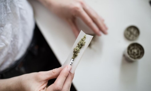 Council approves recreational Marijuana licensing