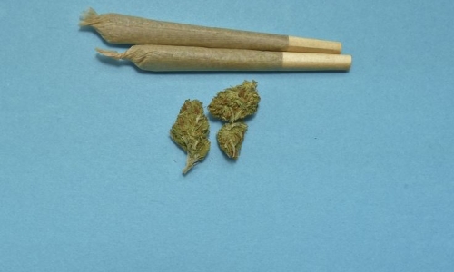 Kansas Senate holds Medical Marijuana hearings