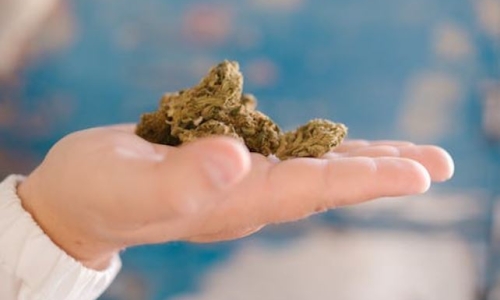 Louisiana considers decriminalizing Marijuana possession and distribution