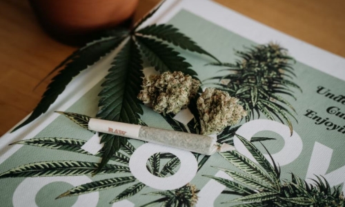 Love Hemp bought out of Administration