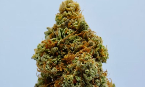 New York’s new drug problem: what to do with a billion dollar Weed mountain?