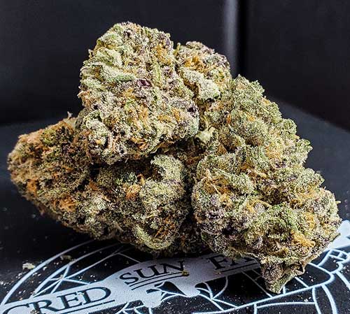 Sacred Sun Farms Montana dispensary