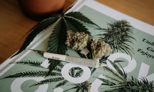 Science bears out the folly of rapid Marijuana legalization