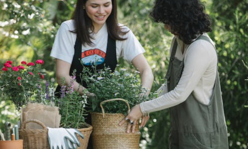 They’re Betting the Family Farm on Weed