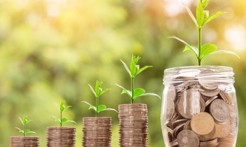 This beaten-down growth industry could make you richer