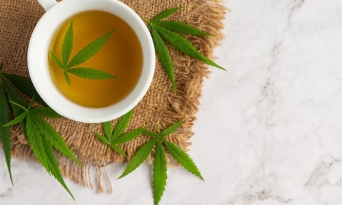 What does research say about the health benefits of Cannabis tea