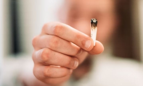 Woody Harrelson says he gave up weed